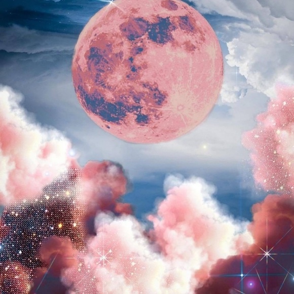 Meet your Posher, Shannon - Picture 1 of 1